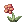 Fancy_Flower