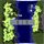 gef_fild07