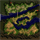 gef_fild11