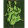 pay_fild02