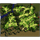 prt_fild11